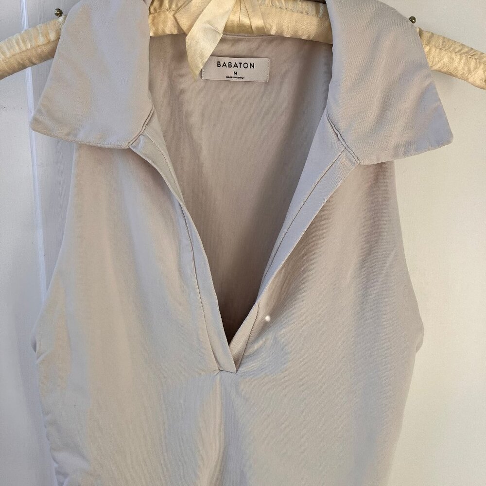 Babaton crop top
